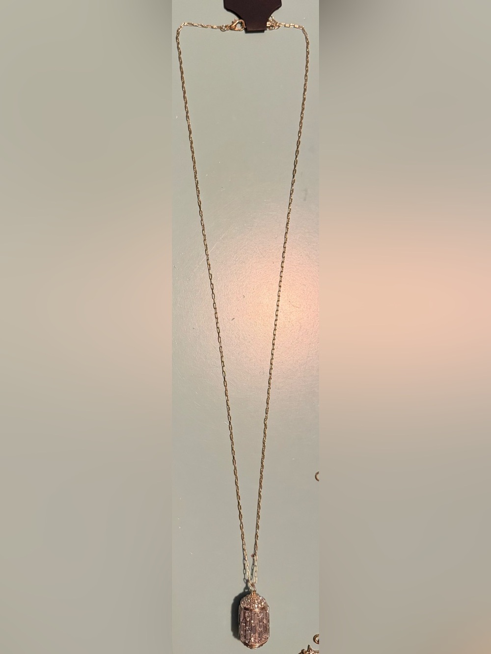 Delicate Long Gold Pendant Necklace with Textured Crystal Charm